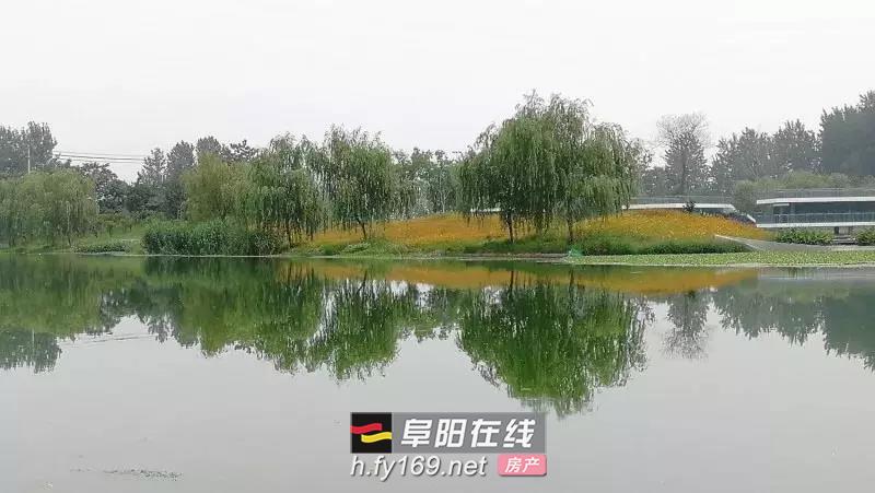 泉水湾湿地公园城市段基本建成,美景如画!