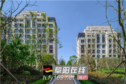 阜城启幕大都会时代,谁在引领人居未来?_楼盘动态_阜阳楼市